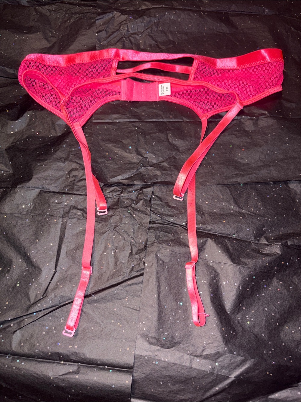 NWOT Hot Pink Lace Garter Belt with Sheer Panels